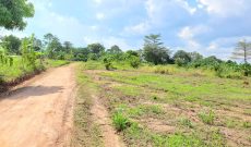 50x100ft plots of land for sale in Kasangati Buwagga at 32m