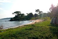 50 acres beachfront property for sale in muyubye at 30m per acre