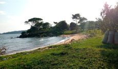 50 acres beachfront property for sale in muyubye at 30m per acre