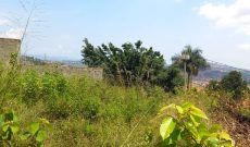 50 decimals lake view plot of land for sale in Buziga at600m