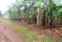 30 decimals plot of land for sale in Kira Kitukutwe at 160m