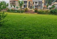 7 bedrooms house for sale in Kisaasi Kyanja 70 decimals at 1m USD