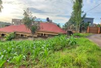 28 decimals plot of land for sale in Komamboga Kyanja 300m