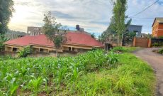 28 decimals plot of land for sale in Komamboga Kyanja 300m
