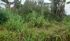 40.5 acres for sale at lukiizi Village butuntumula sub county luwero at 6.5m per acre