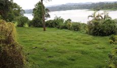 2.5 acres for sale in Buwajali at 650m