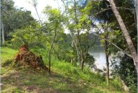 12 acres of land on the banks of the Nile River for sale at $300,000