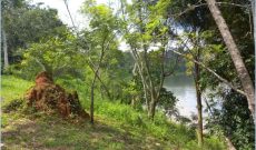 12 acres of land on the banks of the Nile River for sale at $300,000