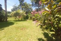 60 decimal plot of land for sale in Bunga Kawuku at 1.4 Billion Shillings