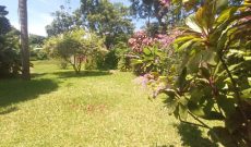 60 decimal plot of land for sale in Bunga Kawuku at 1.4 Billion Shillings