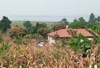 1.5 acres of land for sale in Kigo Serena at 1.2 billion shillings