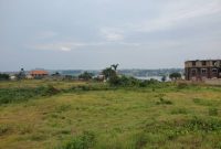 50x100ft plots of land for sale in NKumba with lake view at 65m per plot