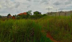 13 decimals plot of land for sale in Namugongo Janda at 13 Decimals Plots For Sale In Namugongo Janda At 65m