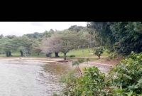 100 acres of land for sale in Garuga Pearl Marina at 600m per acre