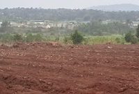 50x100ft plots for sale in Matugga Kanyanda