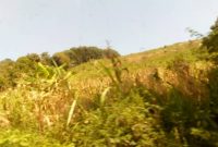 2 acres for sale in Namataba Mukono at 75m per acre