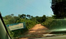 50x100ft plots of land for sale in Namutaba 10m Uganda shillings