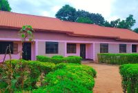 5 rental units for sale in Mbalwa 100x100ft at 420m