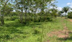 3 acres of land for sale in Gayaza Kijjabijo at 160m