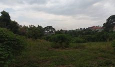 3 acres for sale in Gayaza Masooli at 370m per acre