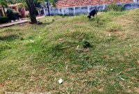 40 decimals plot of land for sale in Bunga Soya at 850m
