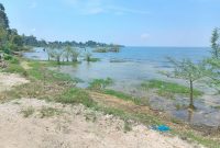 1.5 acres of lake shore land for sale in Katosi Mukono at 100m