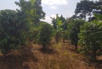 4 acres of land for sale in Bombo Ndejje at 35m per acre