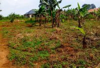 1 acre of land for sale in Matugga Migadde at 37m