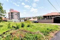 12 decimals for sale in Kira Kito 100m