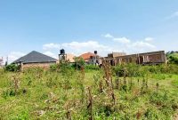 12 decimals residential plot for sale in Kira Nsasa 95m