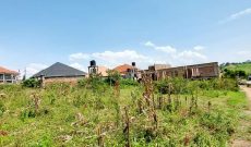 12 decimals residential plot for sale in Kira Nsasa 95m