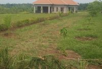 1 acre of land for sale in Mbale Busoba at 40m Uganda shillings