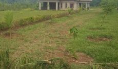 1 acre of land for sale in Mbale Busoba at 40m Uganda shillings