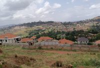 50 decimals plot of land for sale in Akright Bwebajja at 500m shillings