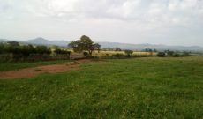 640 acres of farm land for sale in Kibaale at 3.5m per acre