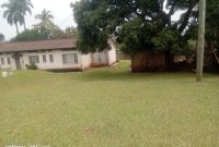 40 decimals plot of land for sale in Bugolobi at $600,000