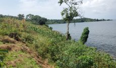 15 Acres Of Lake Front Land For Sale In Bukunja