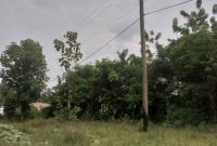 10 acres of land for sale in Maya, Masaka Road