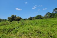 20 acres of land for sale in Garuga on lake shore at 280m