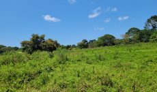 20 acres of land for sale in Garuga on lake shore at 280m