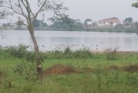 4 acres of lake shore land for sale in Kasanje at 120m per acre