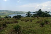 100 acres of land for sale in Buikwe at 15m per acre