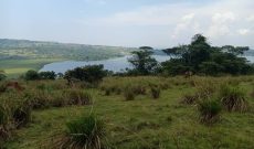 100 acres of land for sale in Buikwe at 15m per acre