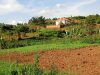 4-acres-of-land-for-sale-in-kisubi-entebbe-road-at-170m-per-acre