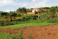 4 acres of land for sale in Kisubi Entebbe Road at 170m per acre