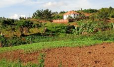 4 acres of land for sale in Kisubi Entebbe Road at 170m per acre