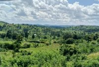 2 square miles of land for sale in Kyegegwa at 5m per acre