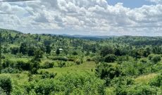 2 square miles of land for sale in Kyegegwa at 5m per acre