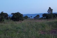 25 decimals plot of land for sale in Garuga with a Lake view at 250m
