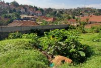 plot of land of 22 decimals for sale in Ntinda,